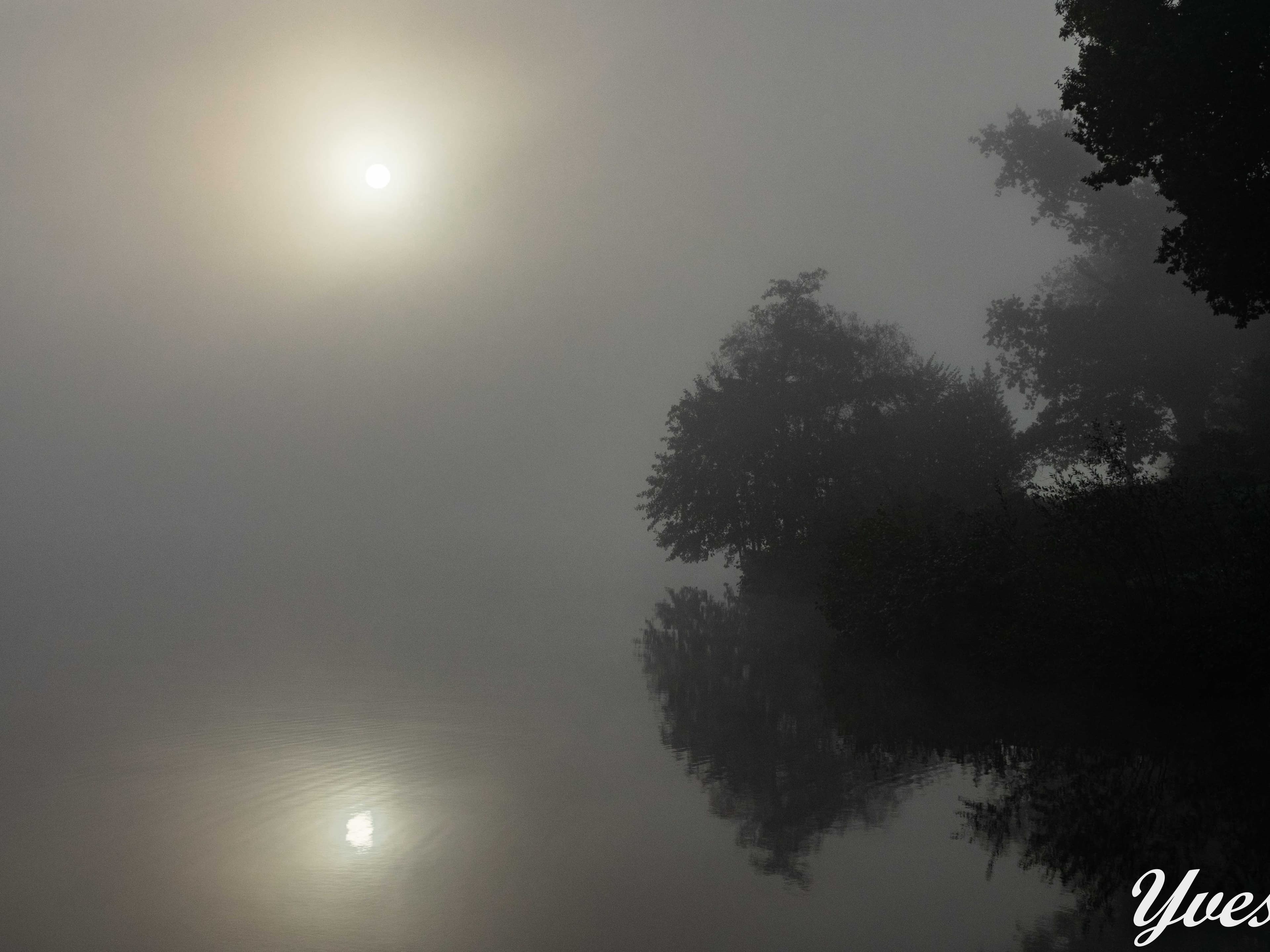 Brume matinale