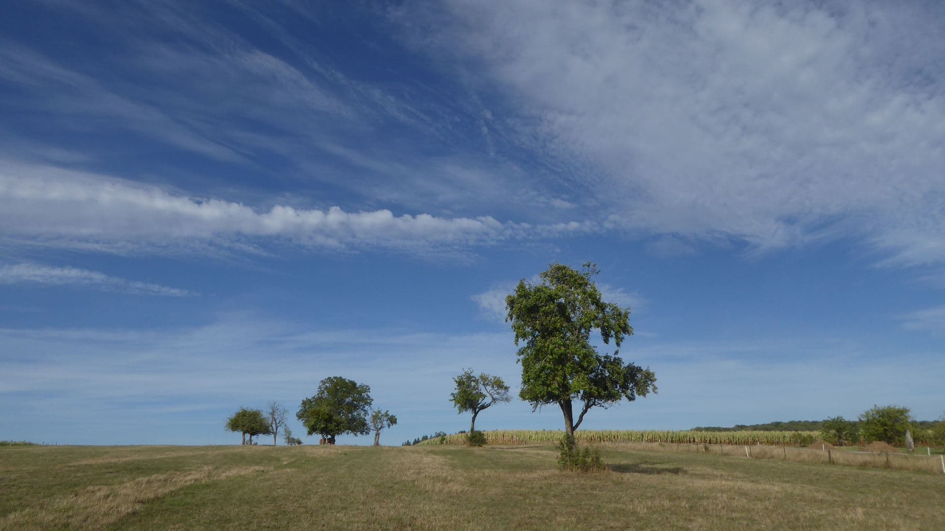 Nuages variés