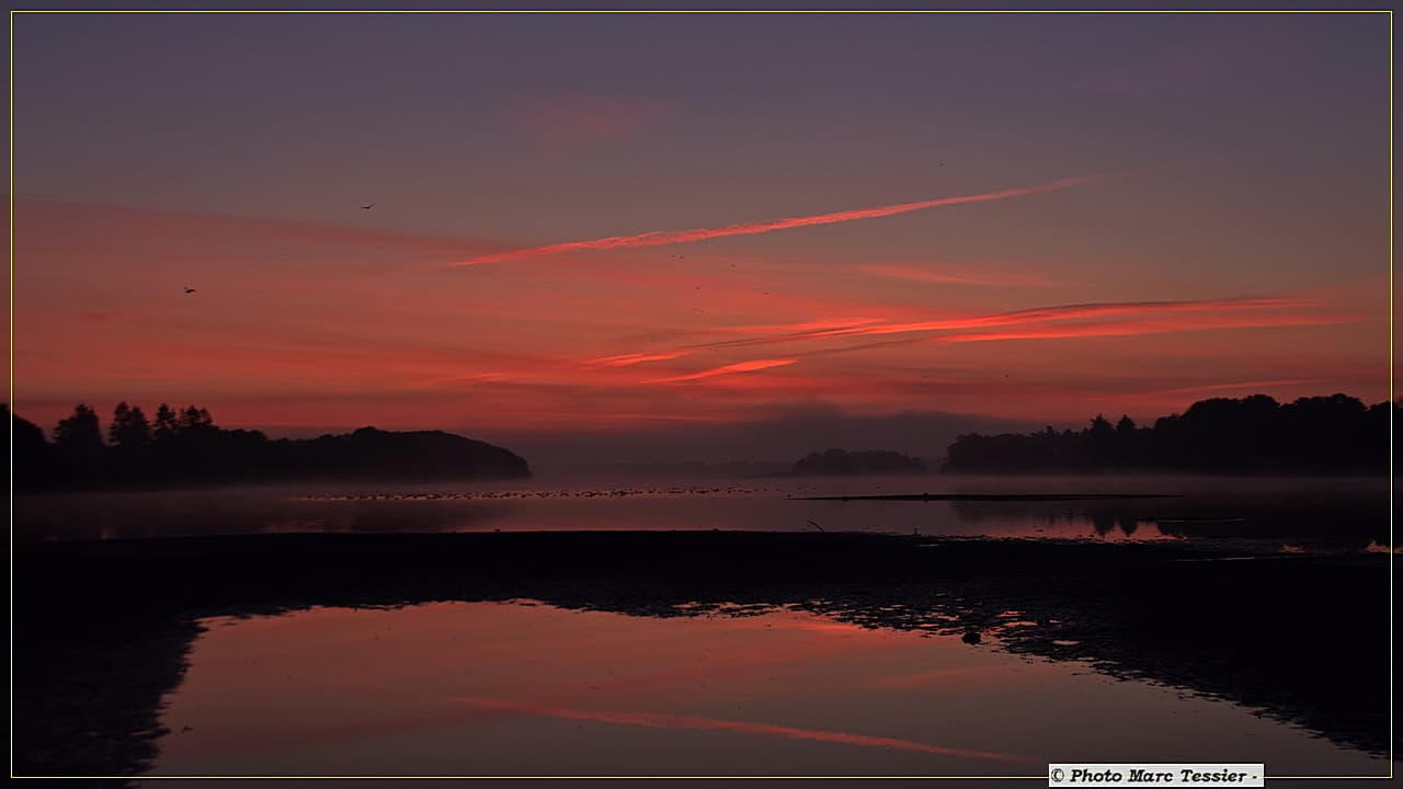 8h00, la nature se montre