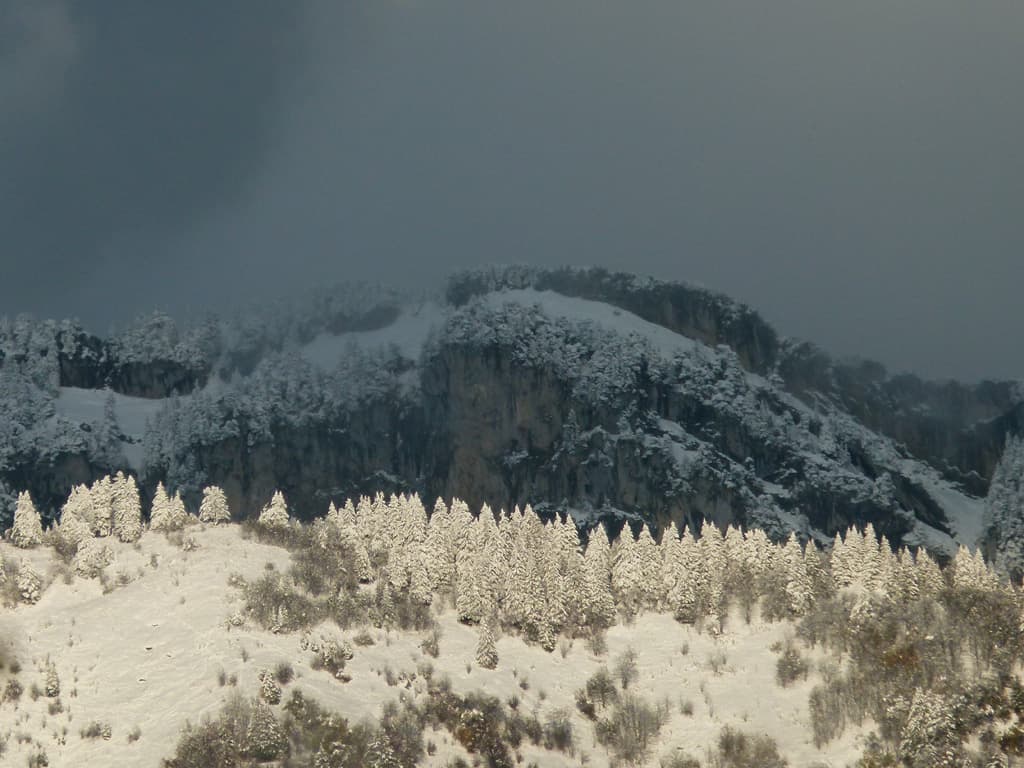 première neige