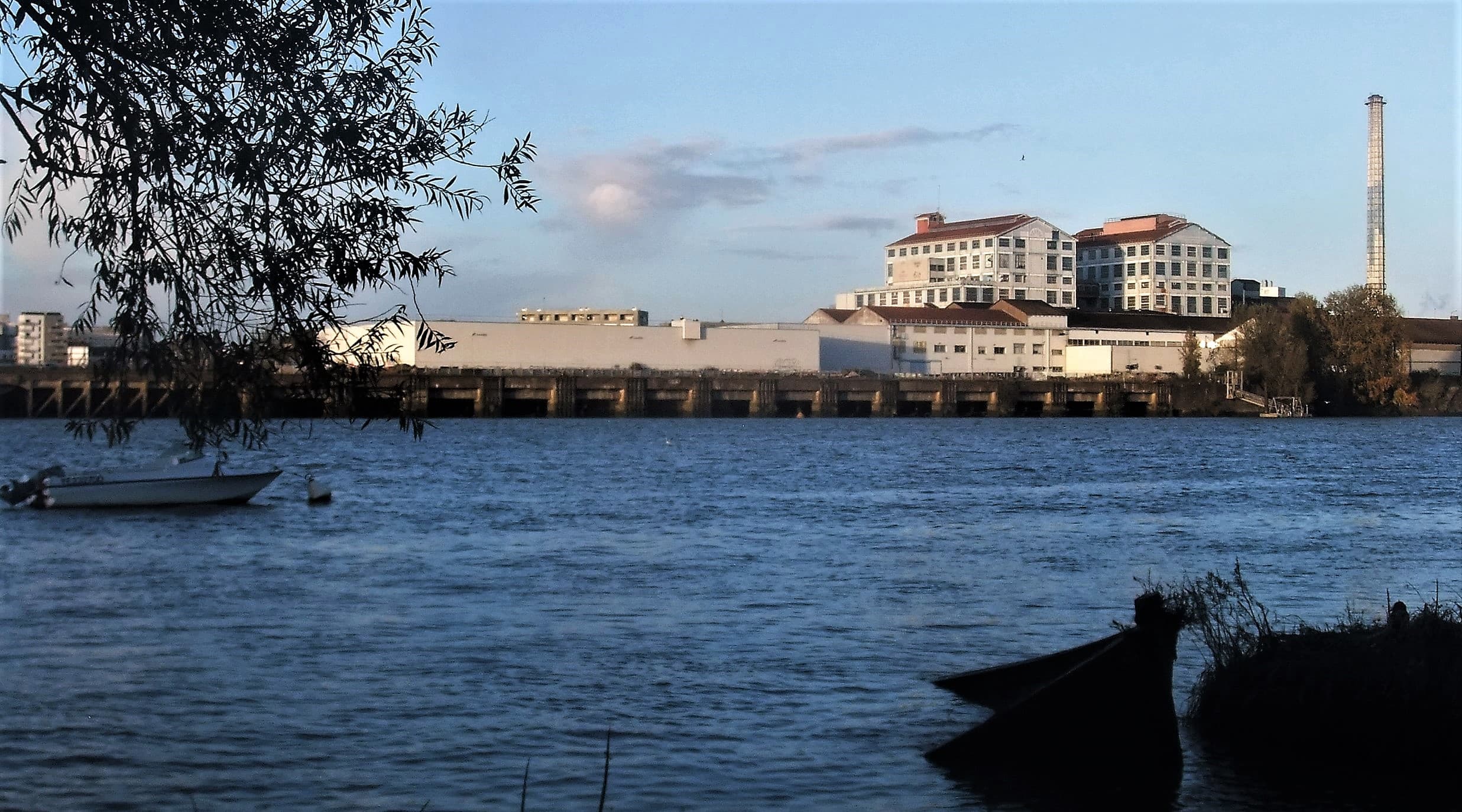 Bords de Loire