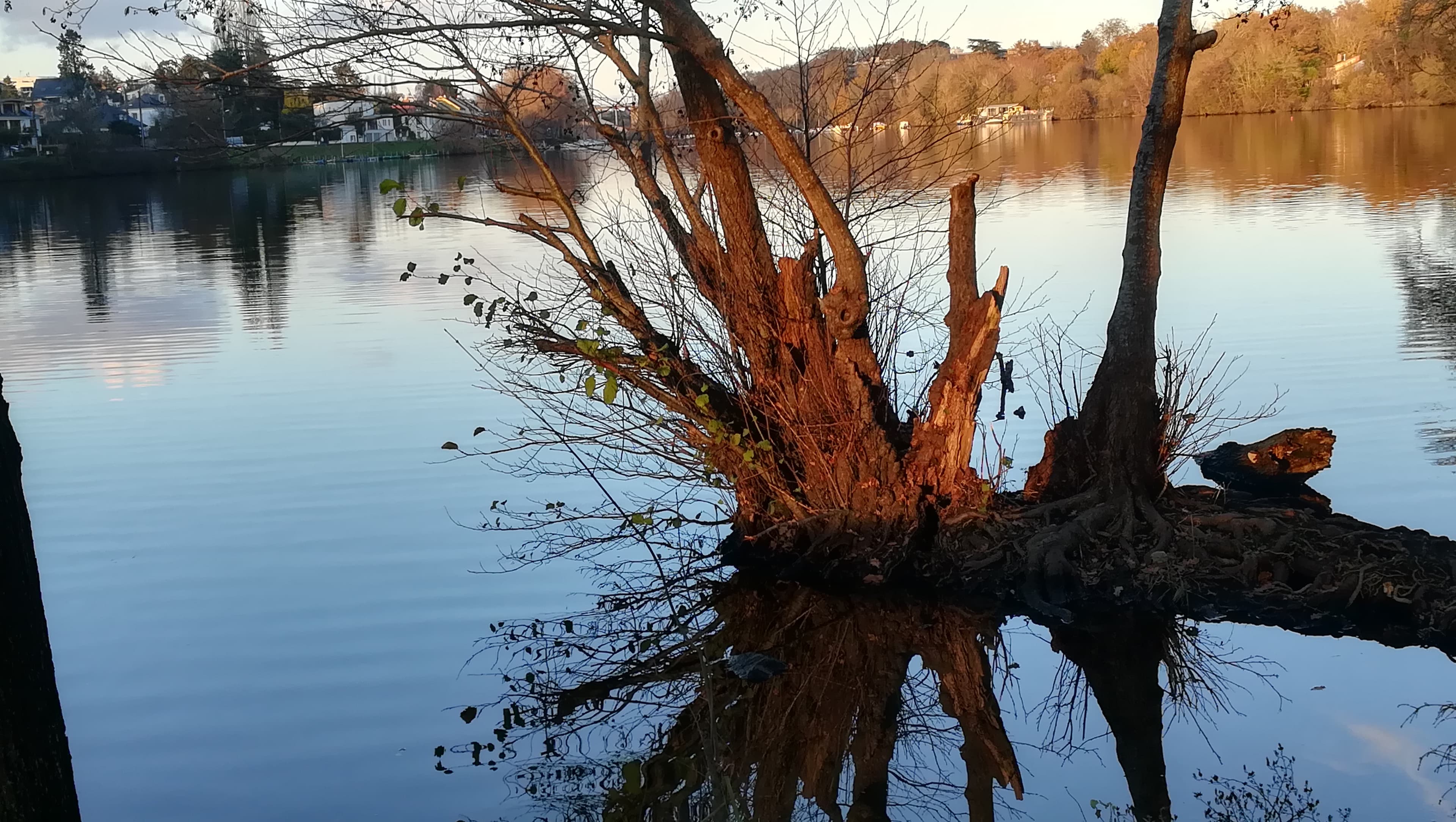 Couché de soleil sur l'Erdre