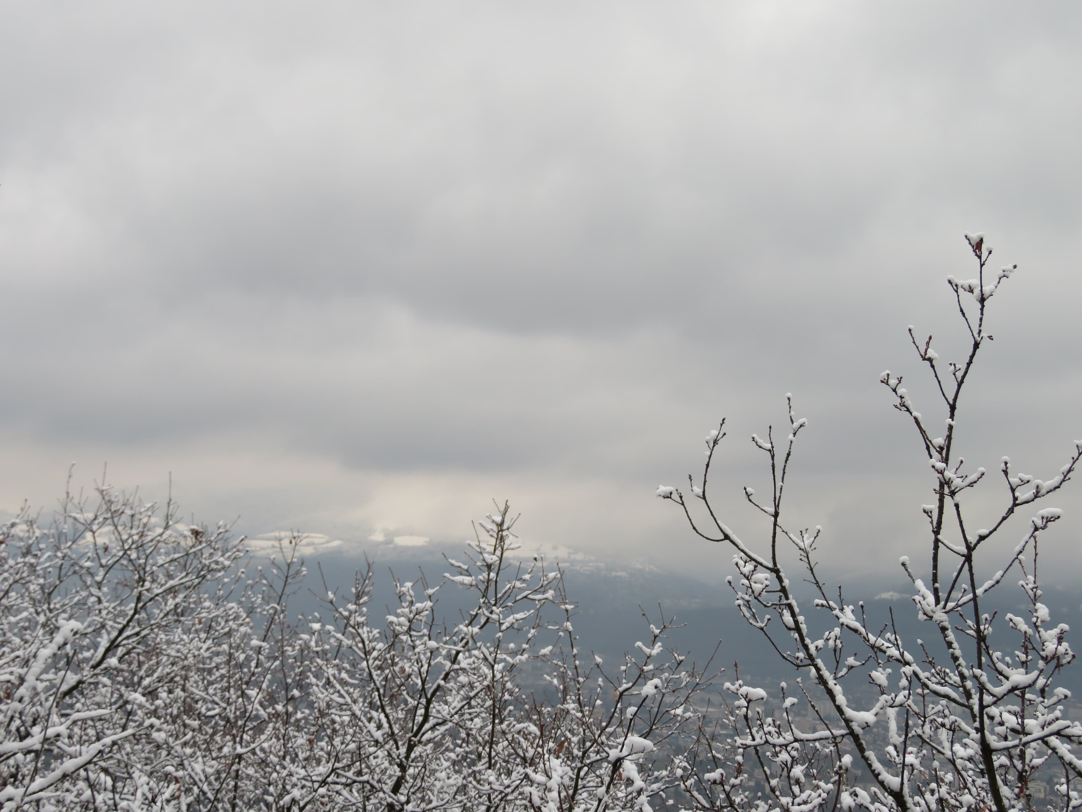 Pluvieux/venteux à Grenoble. Montée au Mont Jalla