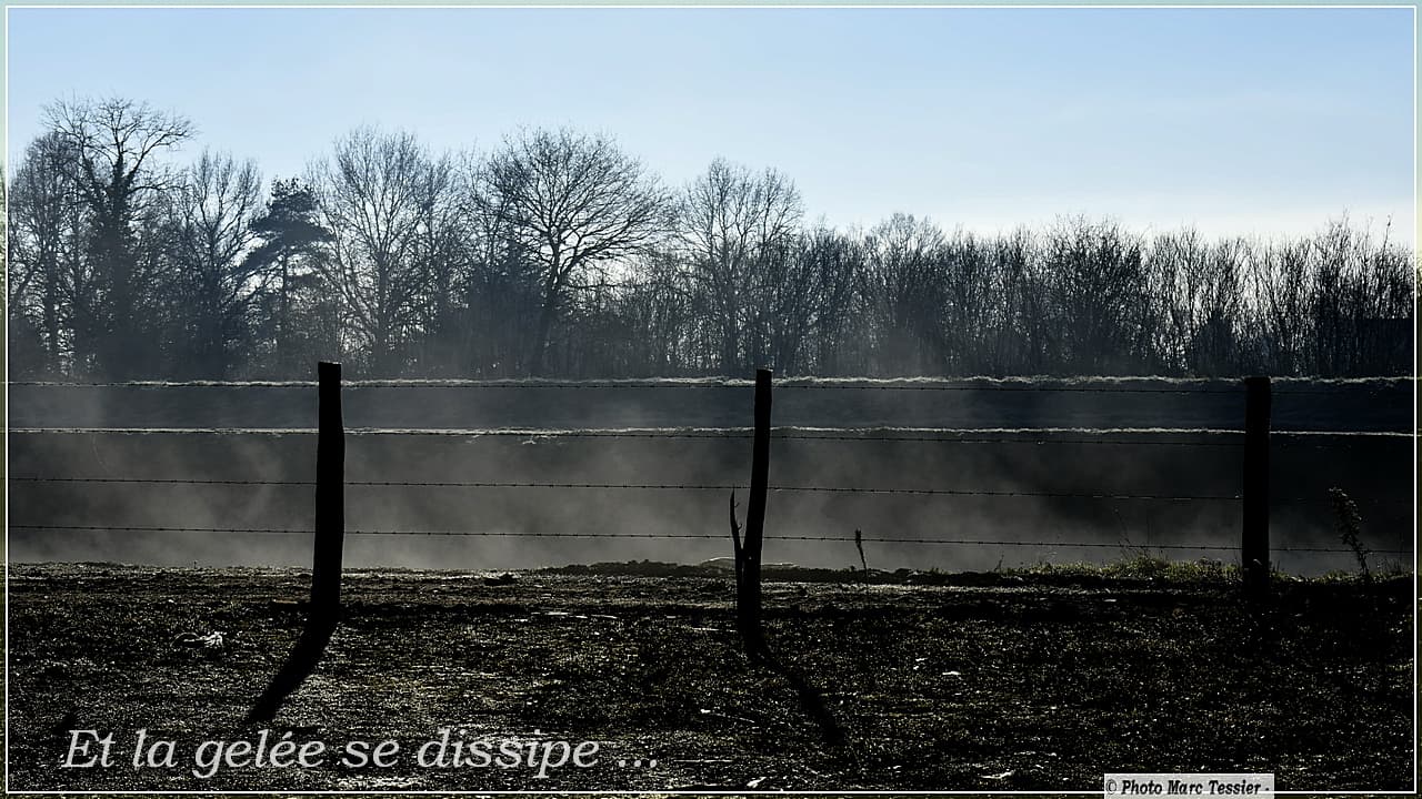 la gelée se dissipe..déjà