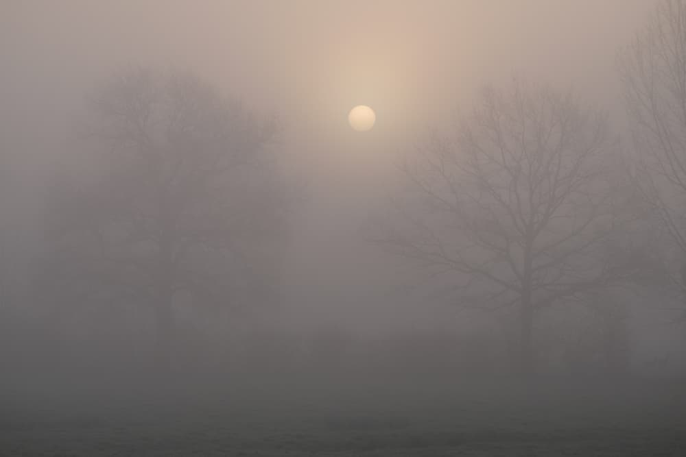 Brouillard épais