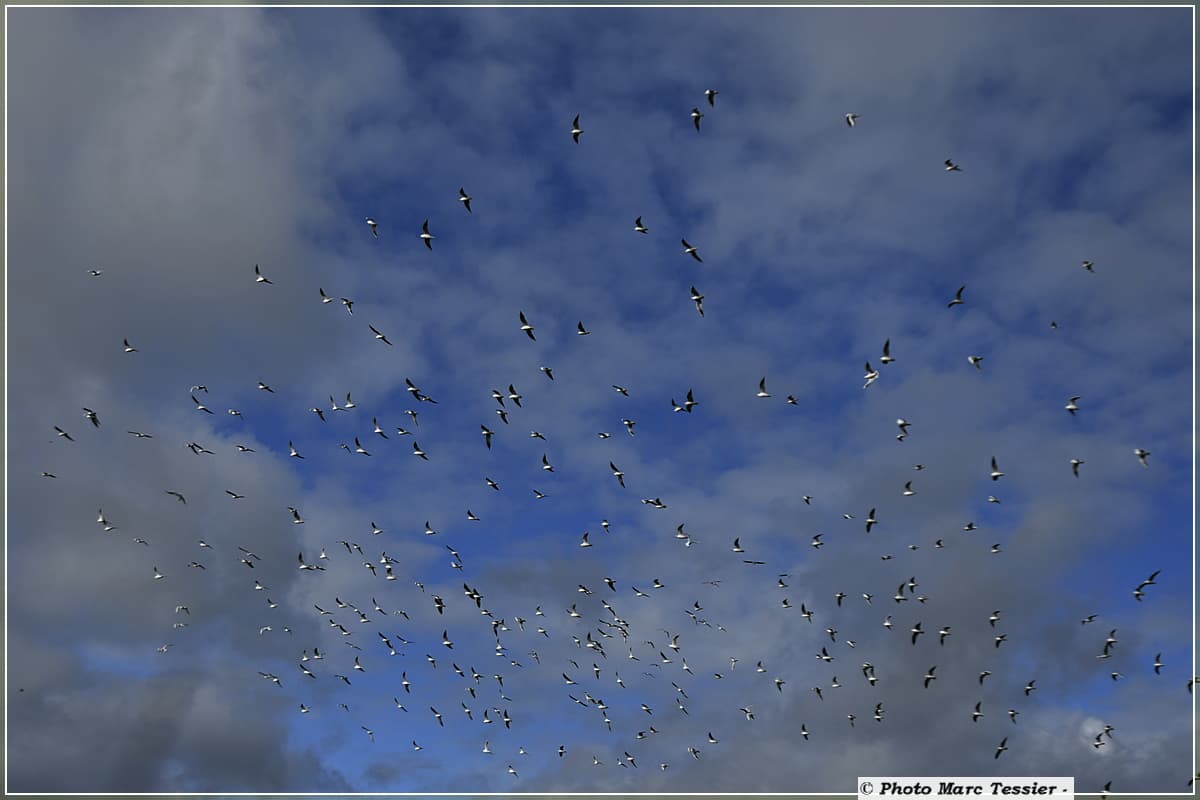 Bref ciel bleu, aujourd'hui