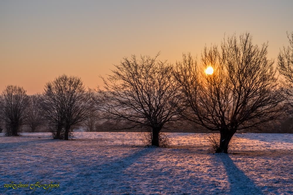 Dorée lumière sur neige