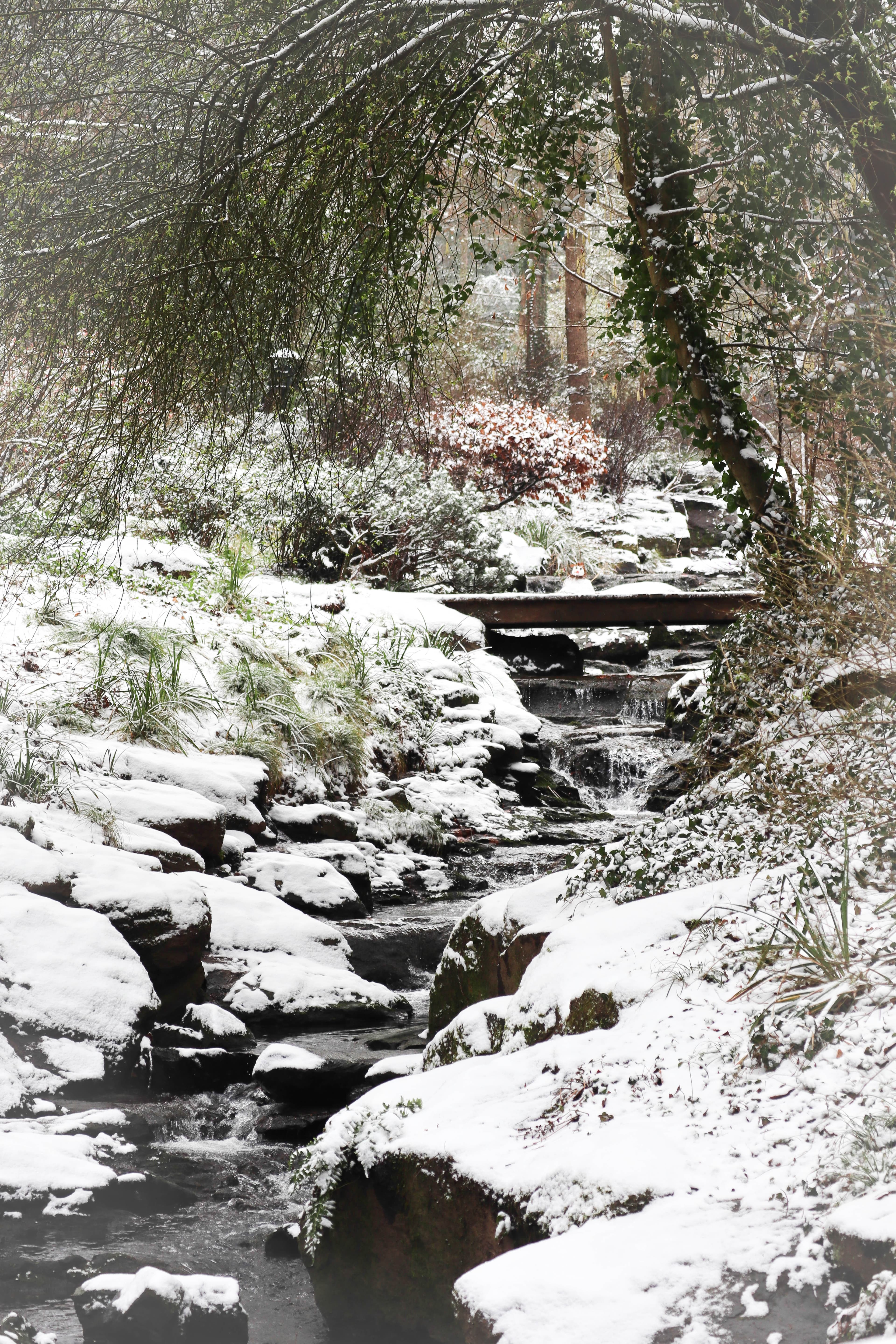 Parc de la Gaudinière