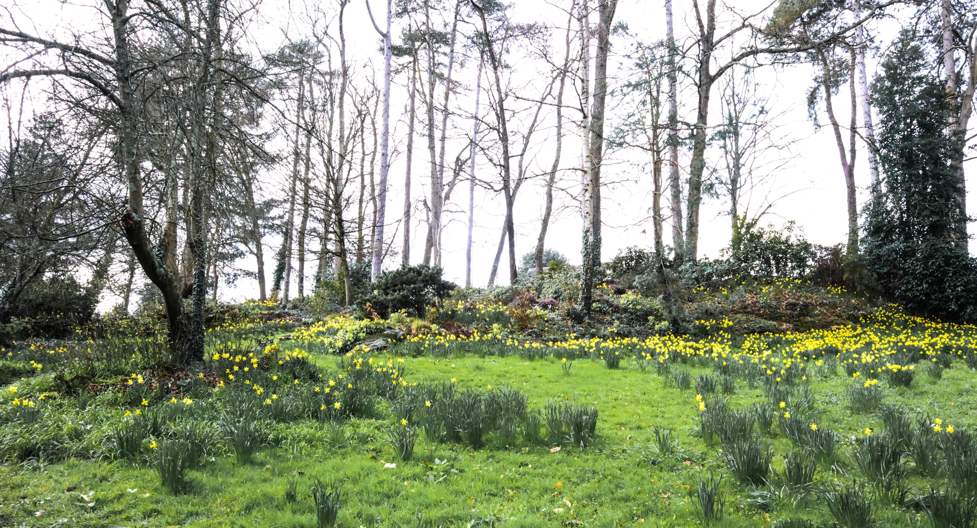 Parc de la Gaudinière