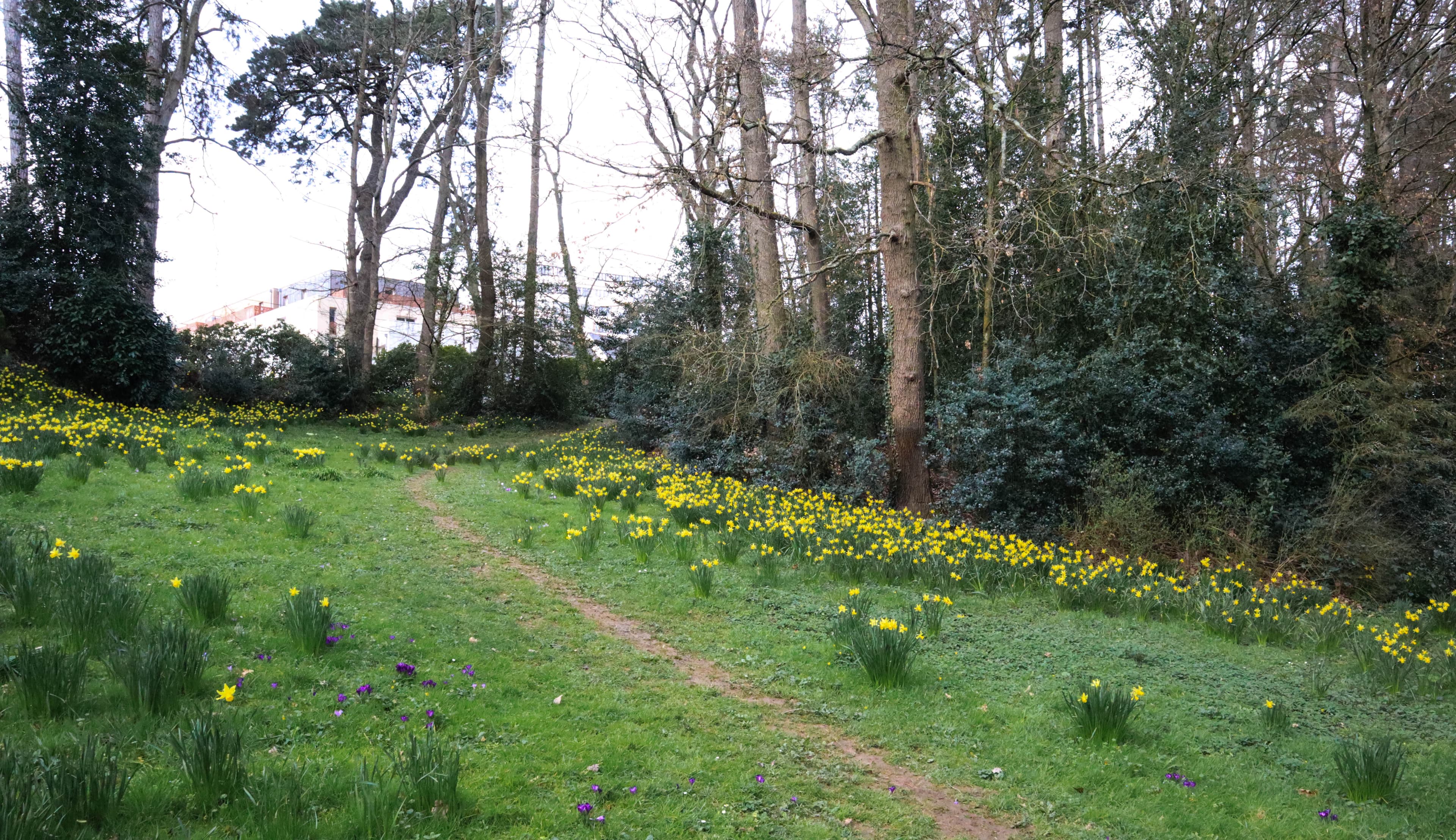 Parc de la Gaudinière