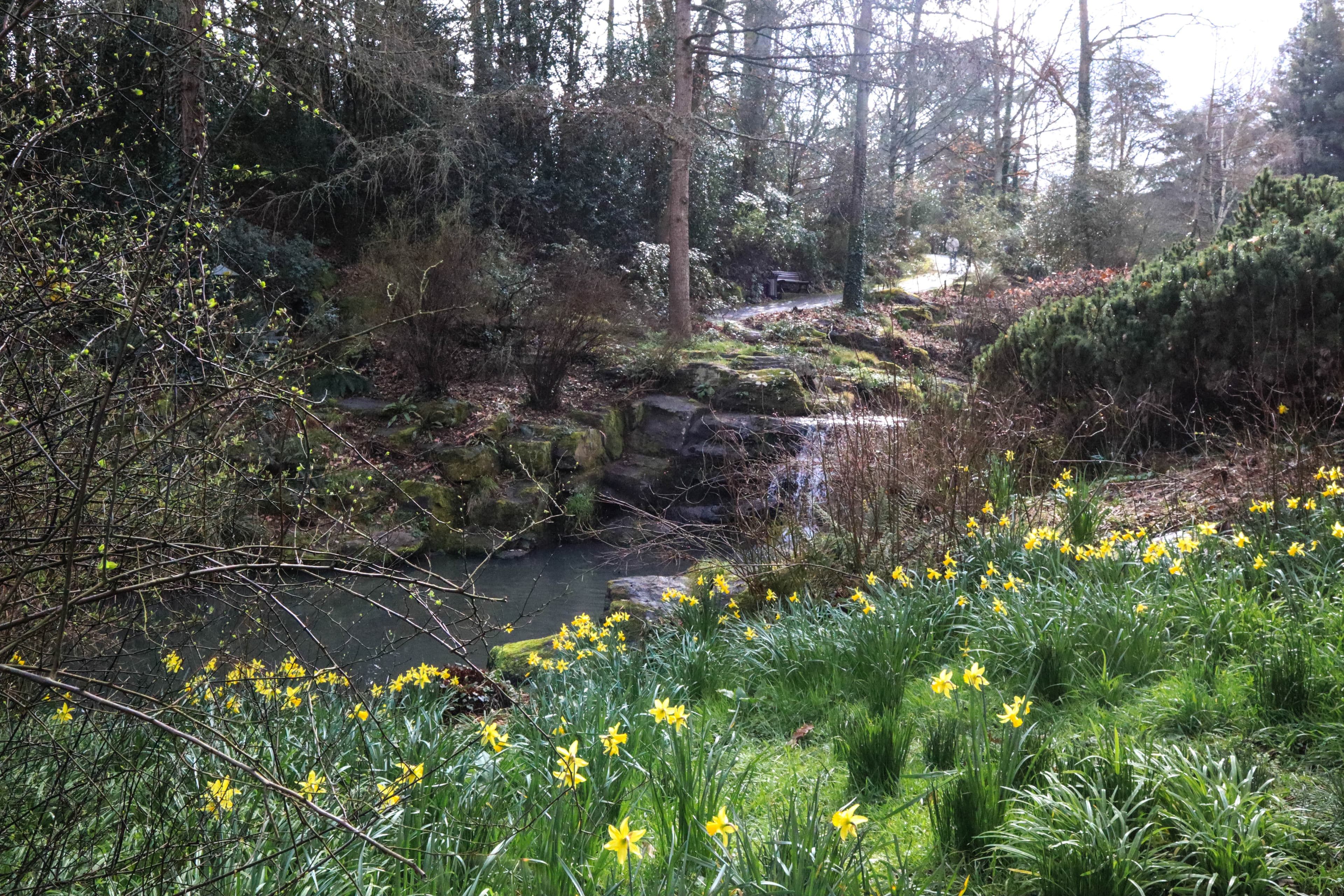 Parc de la Gaudinière