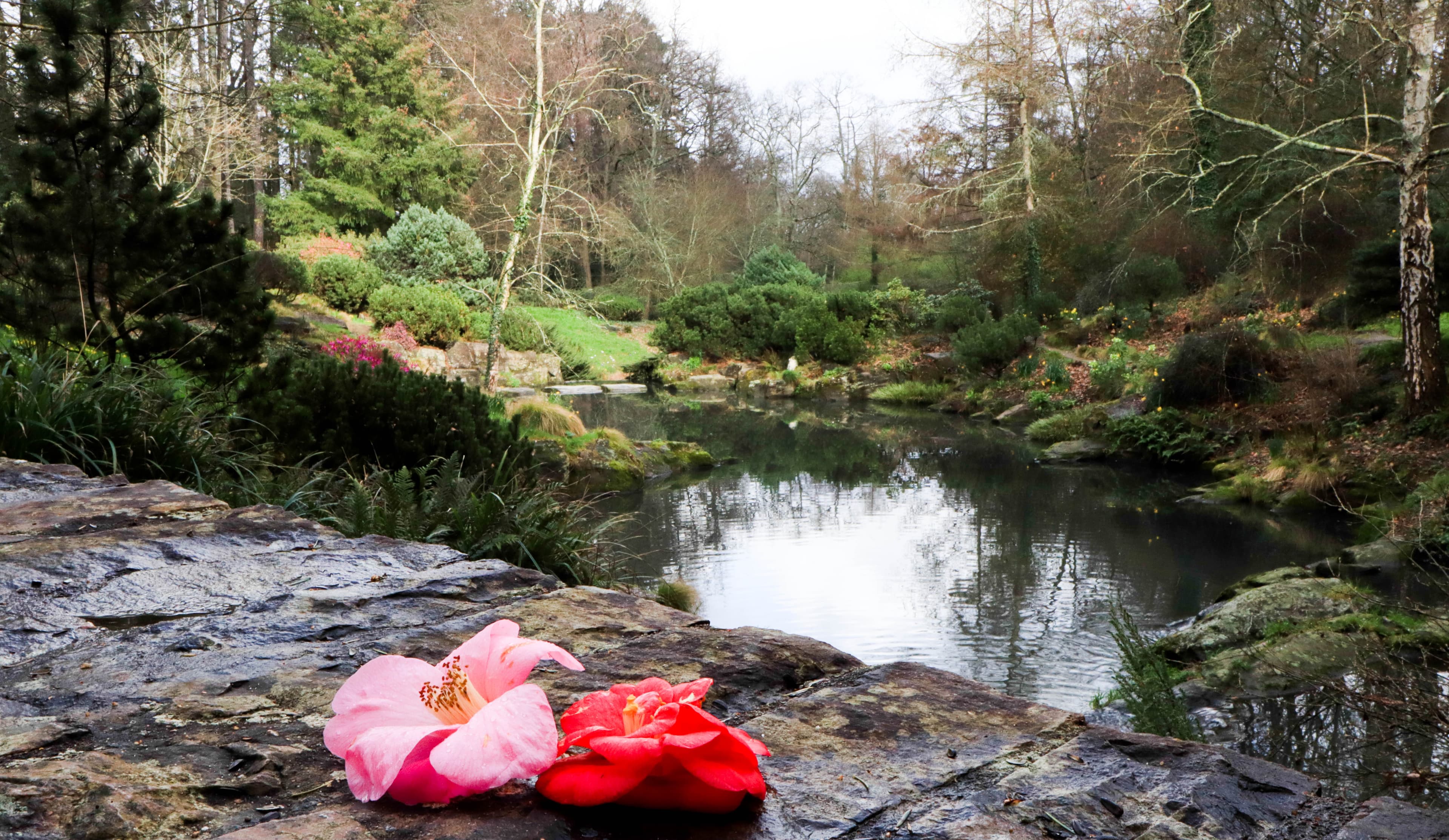 Parc de la Gaudinière