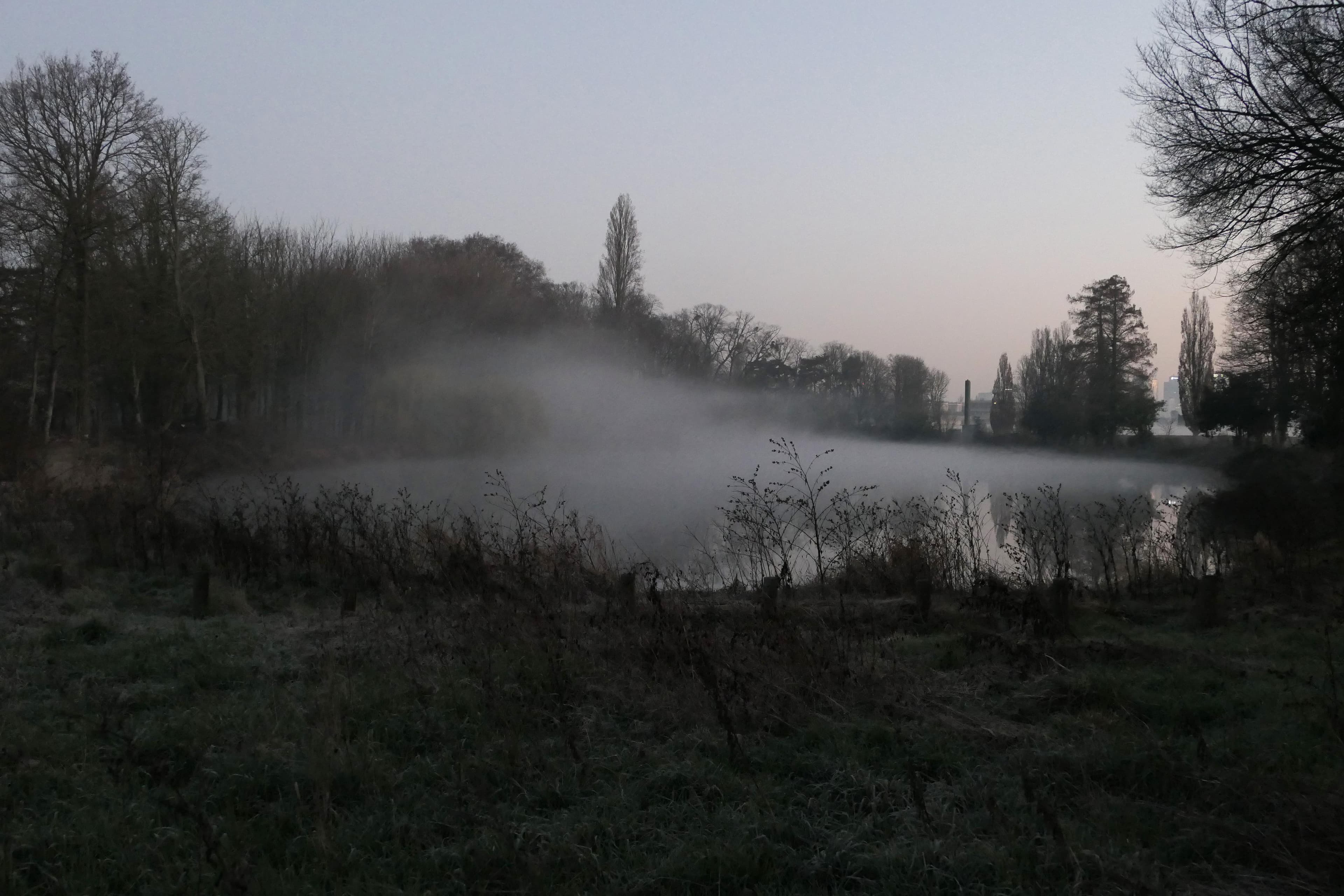 "Brume de mer" Bois de Boulogne -1