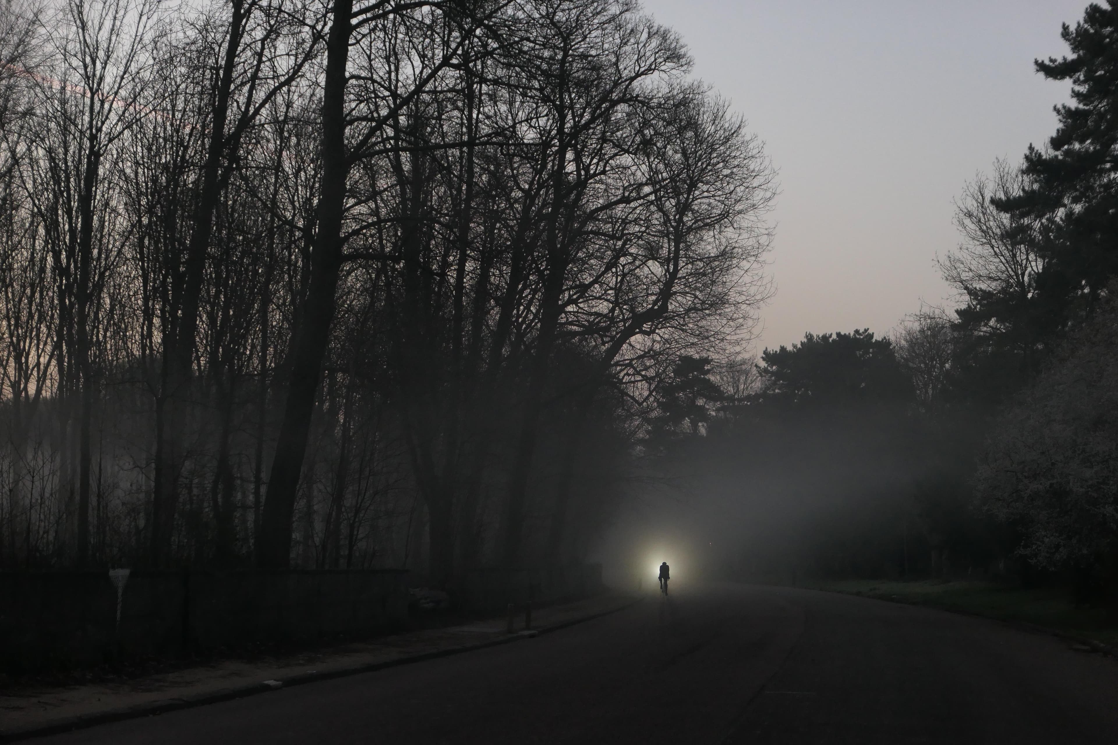 "Brume de mer" Bois de Boulogne -2