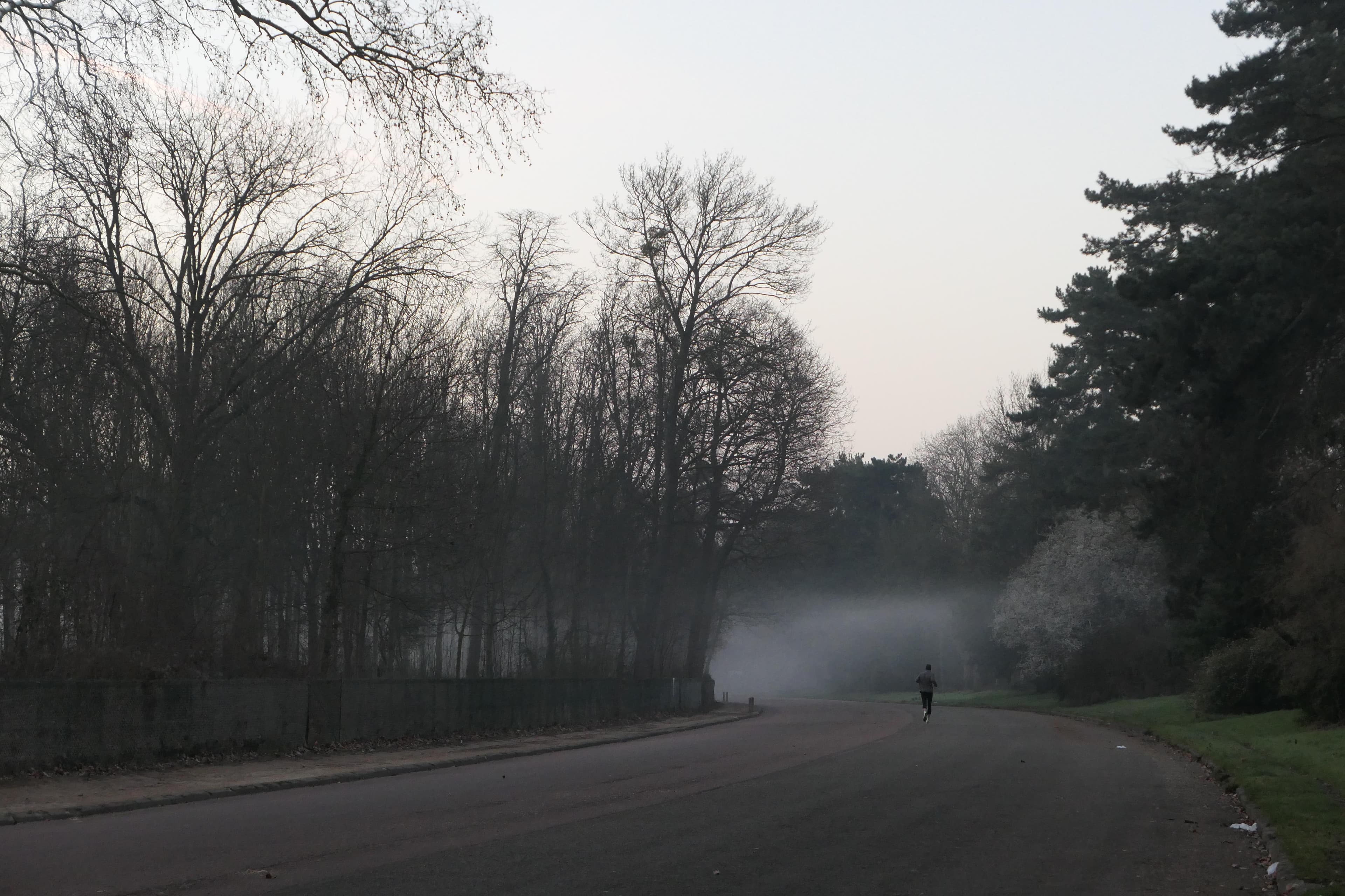 "Brume de mer" Bois de Boulogne -3