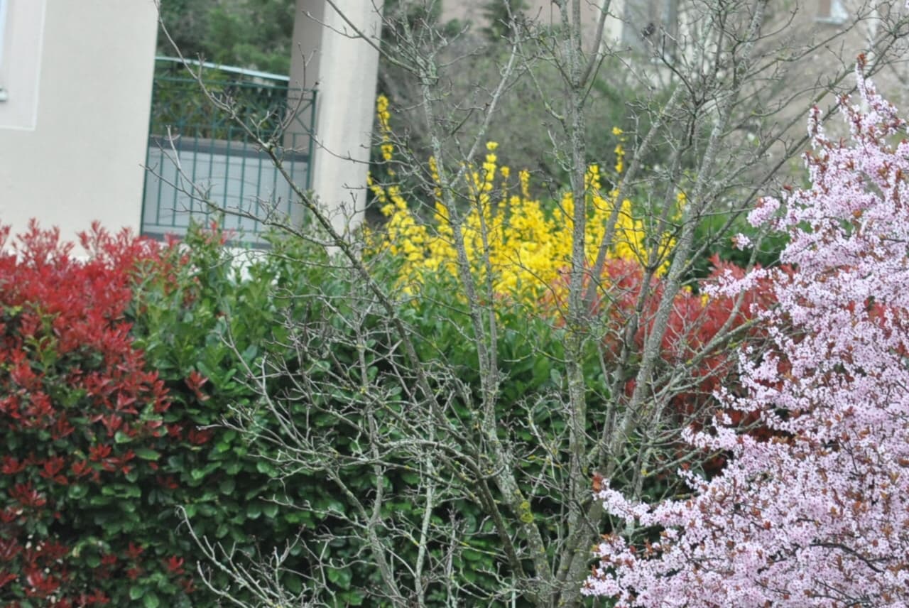 3 couleurs !