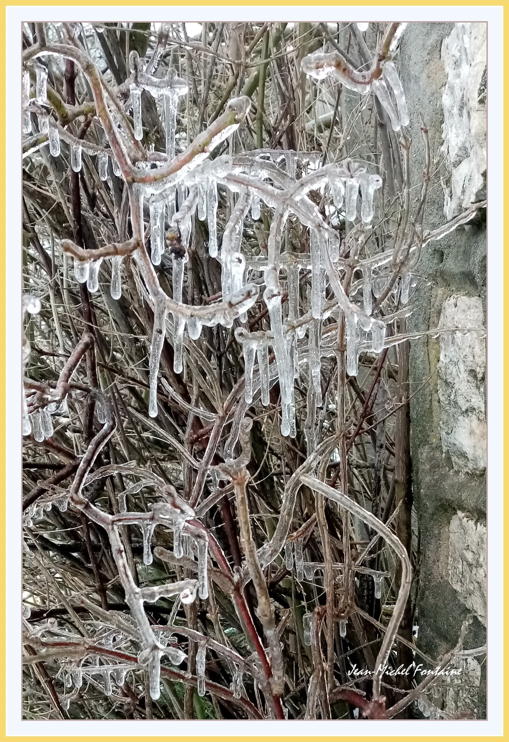 Glace