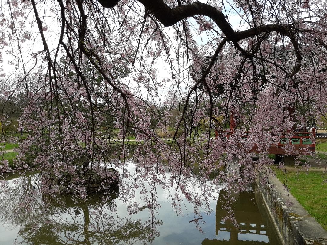 GLG- Demain le printemps.