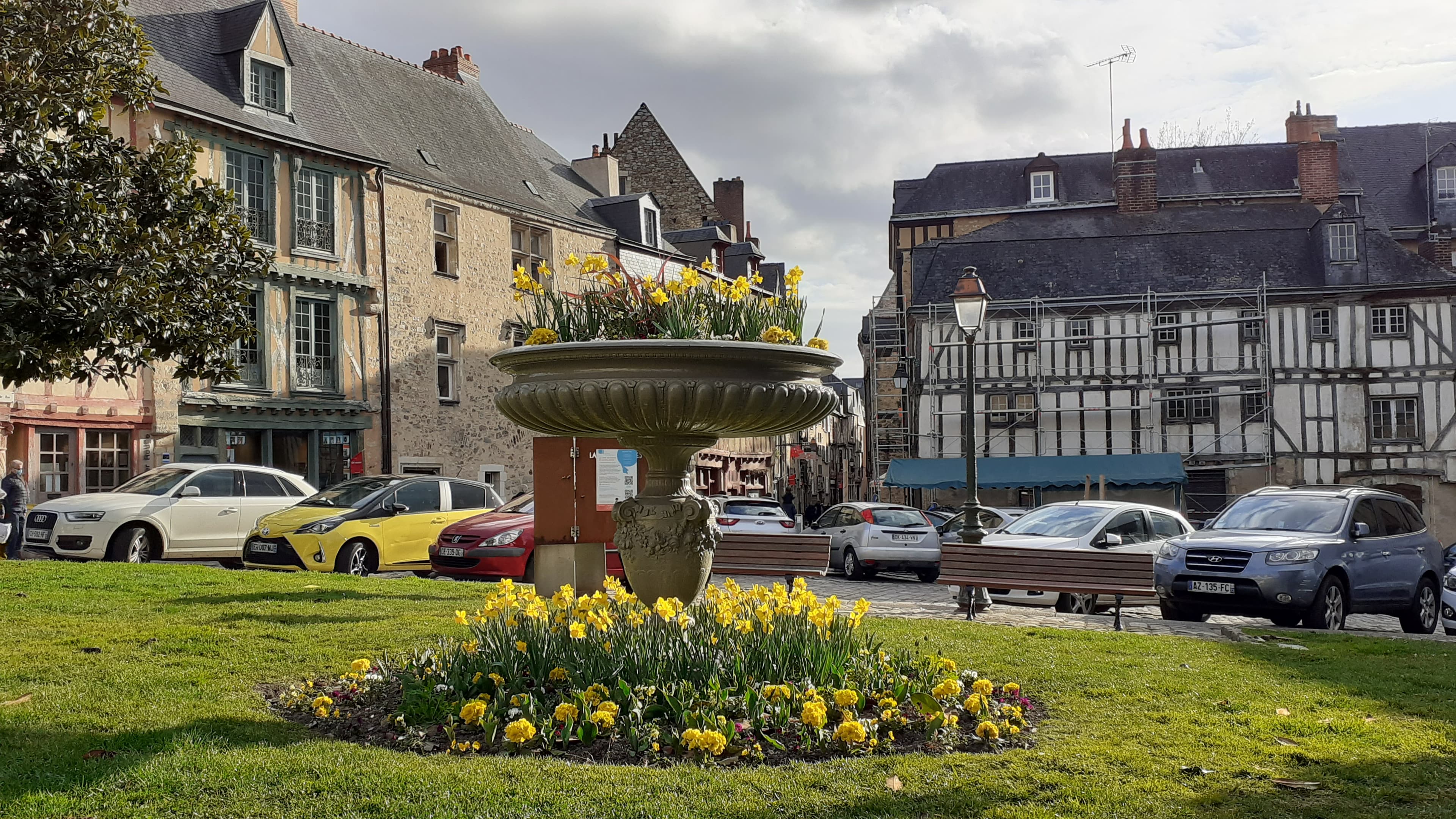Fleurs du printemps dans le vieux  Mans