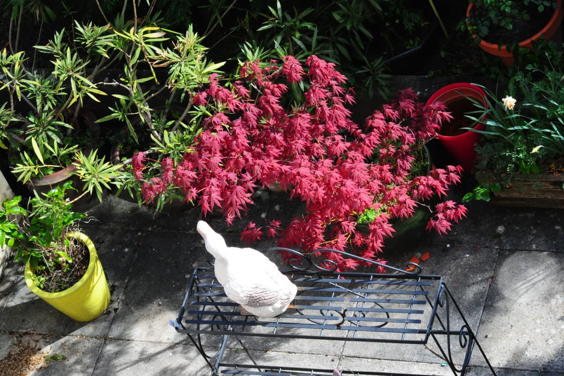 jardin créatif !