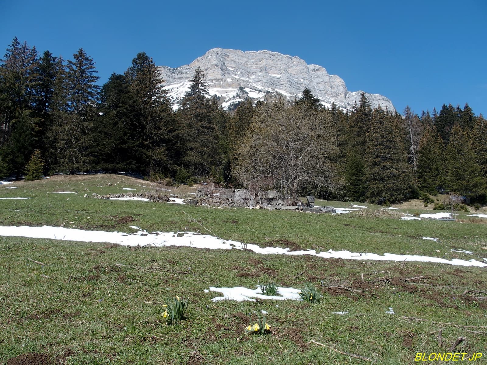 Chamechaude vue de l'Emeindras de Dessous