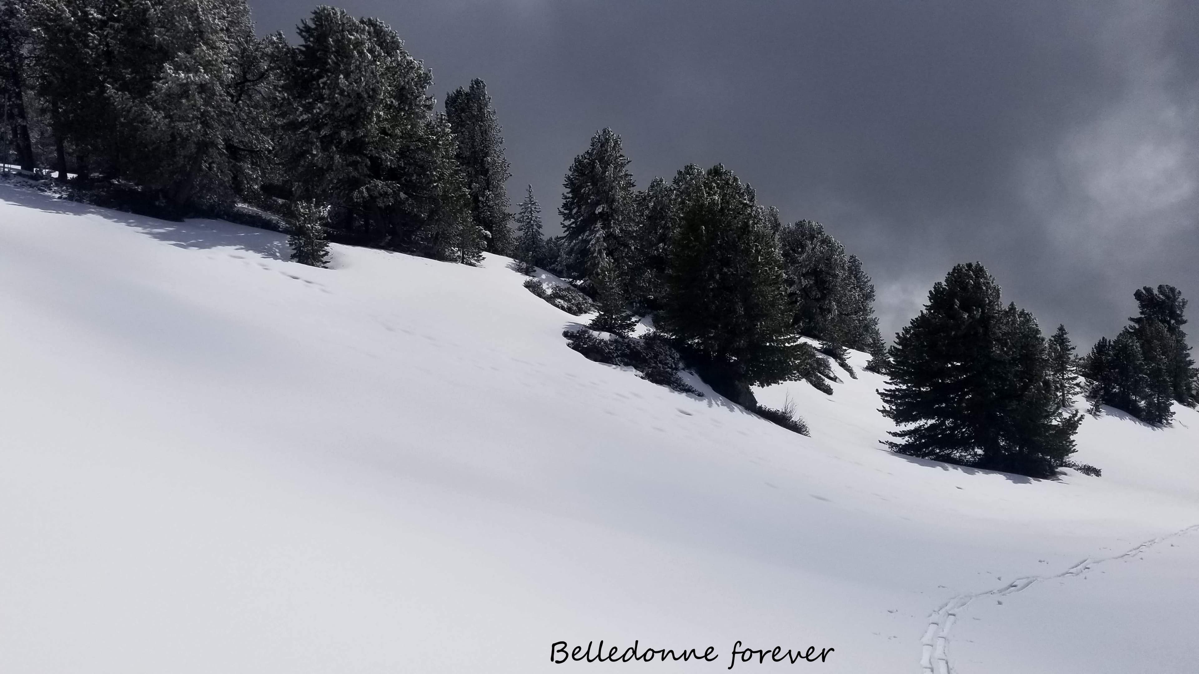 Un peu de neige fraiche à partir de 1800m A.P.