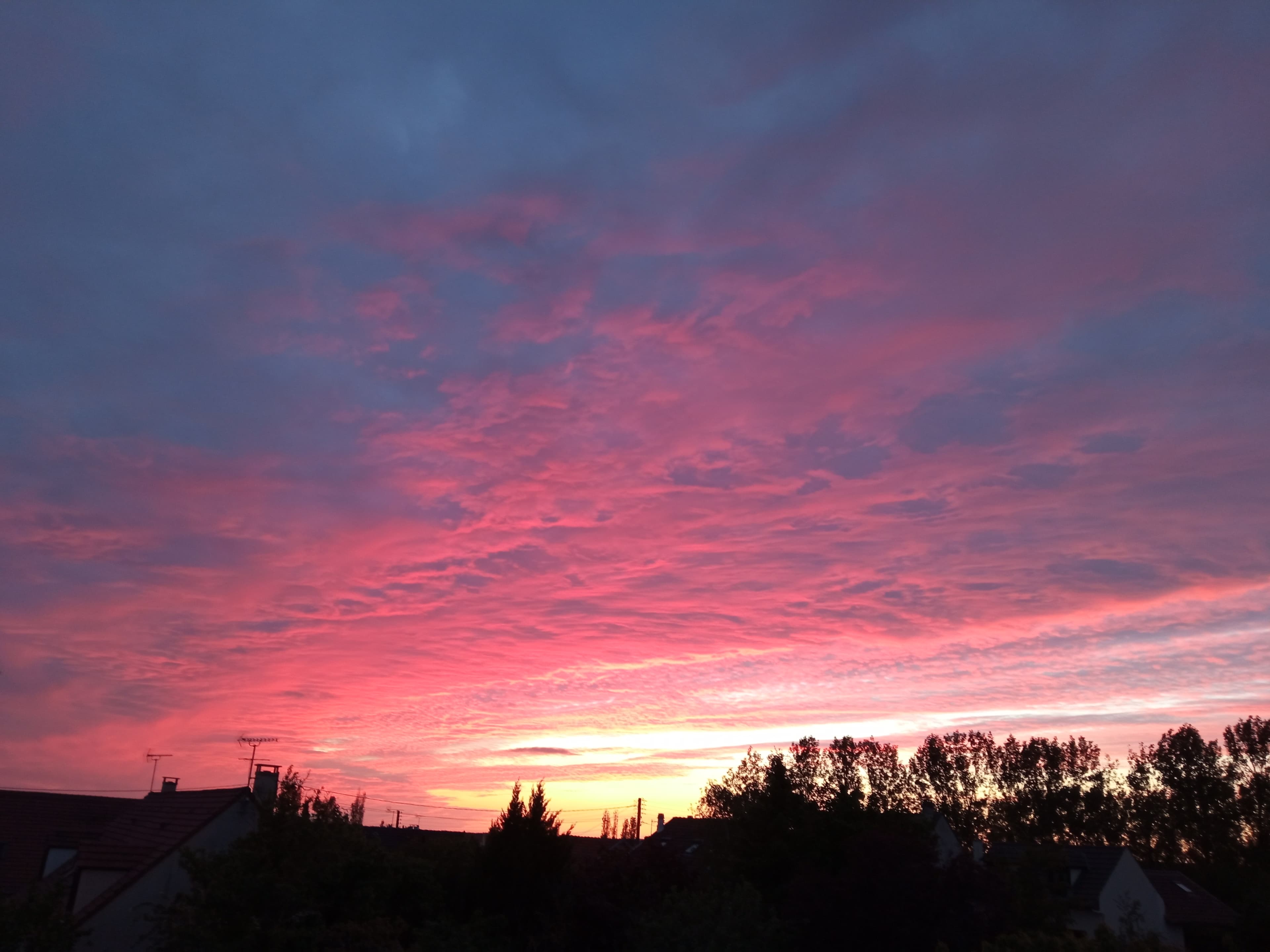 couchant flamboyant