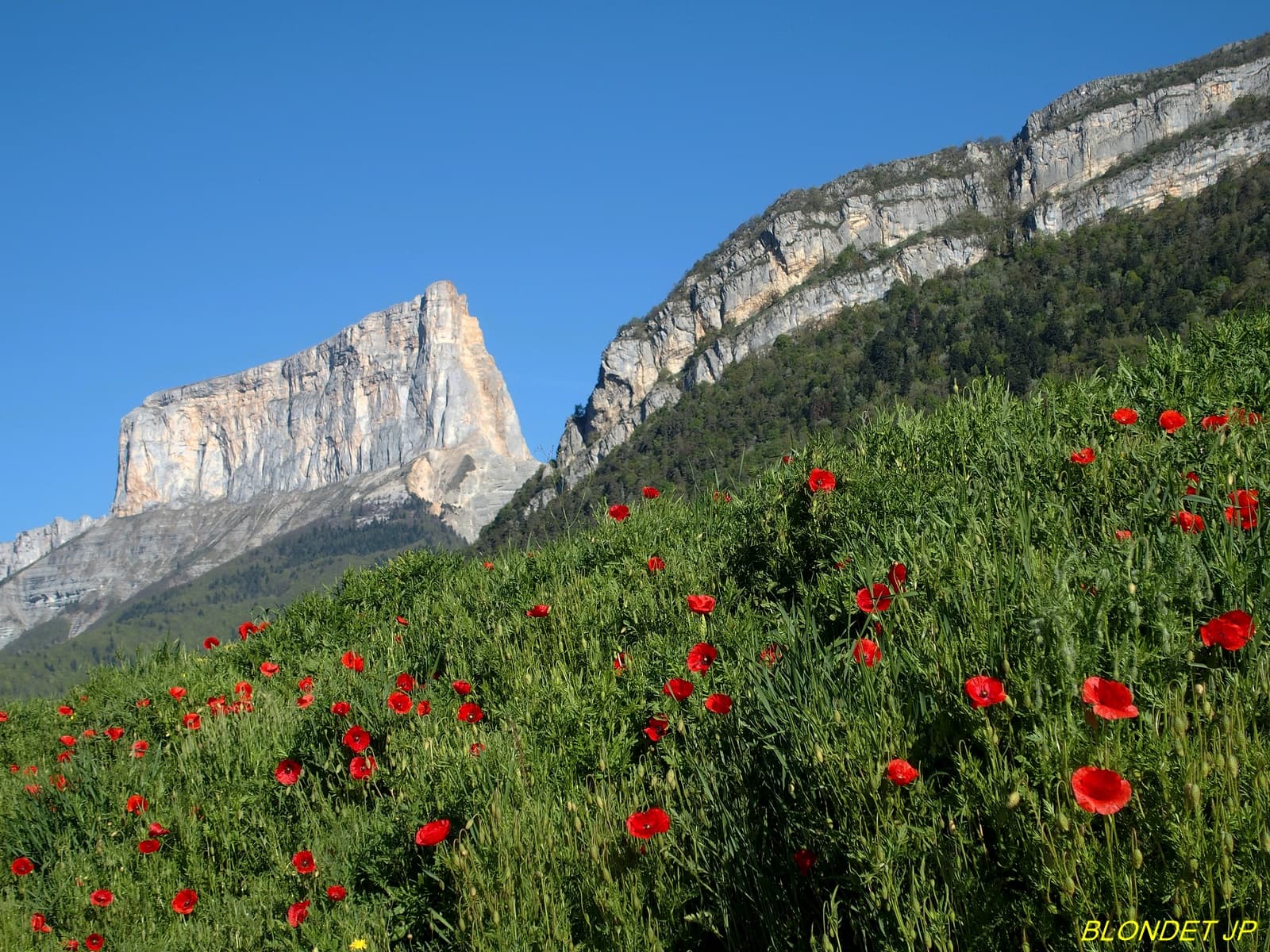Mont Aiguille