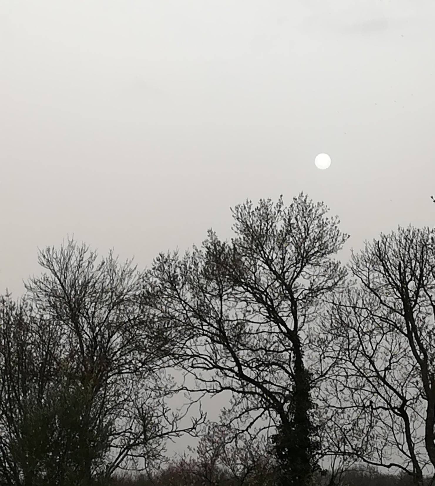 Non ce n'est pas la lune
