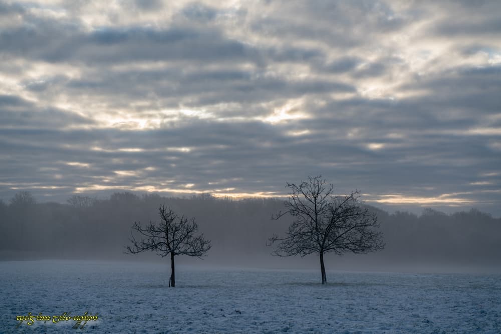 Légèrement brumeux