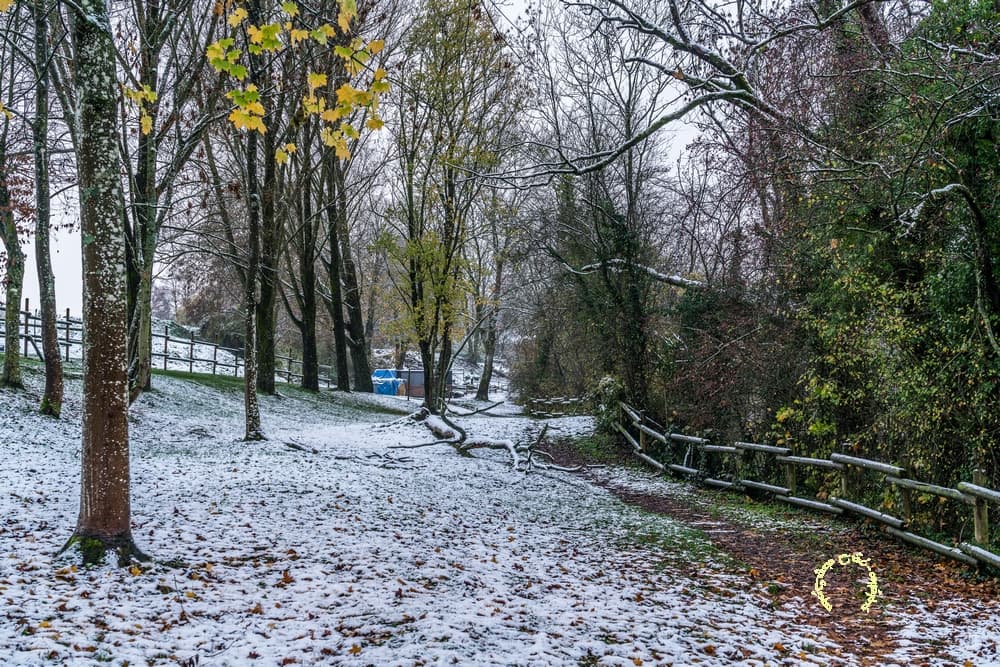 Hiver sur résidus d'automne