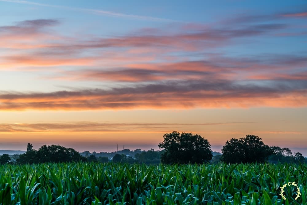 Les couleurs de l'aube