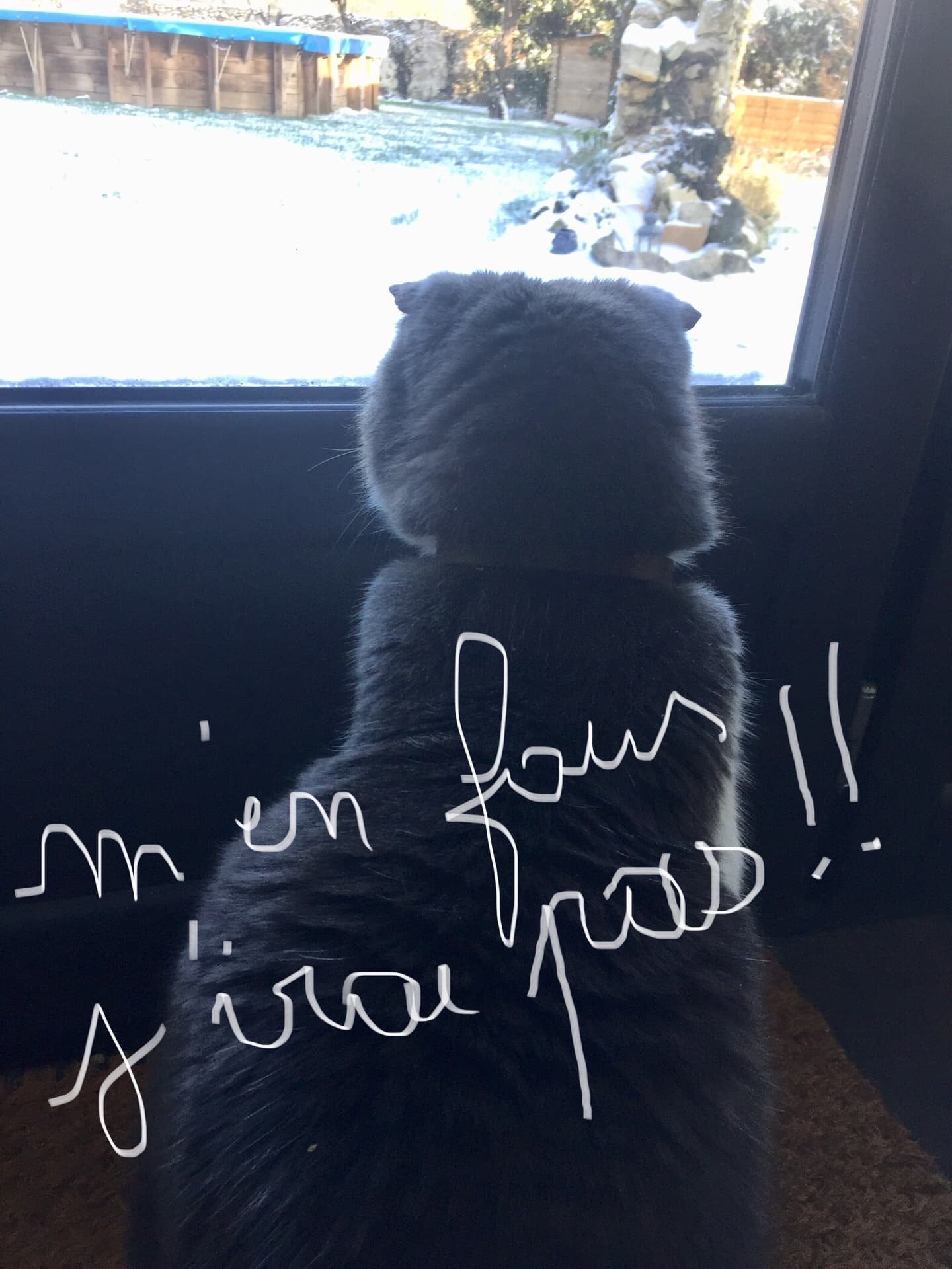 chat-hesitant