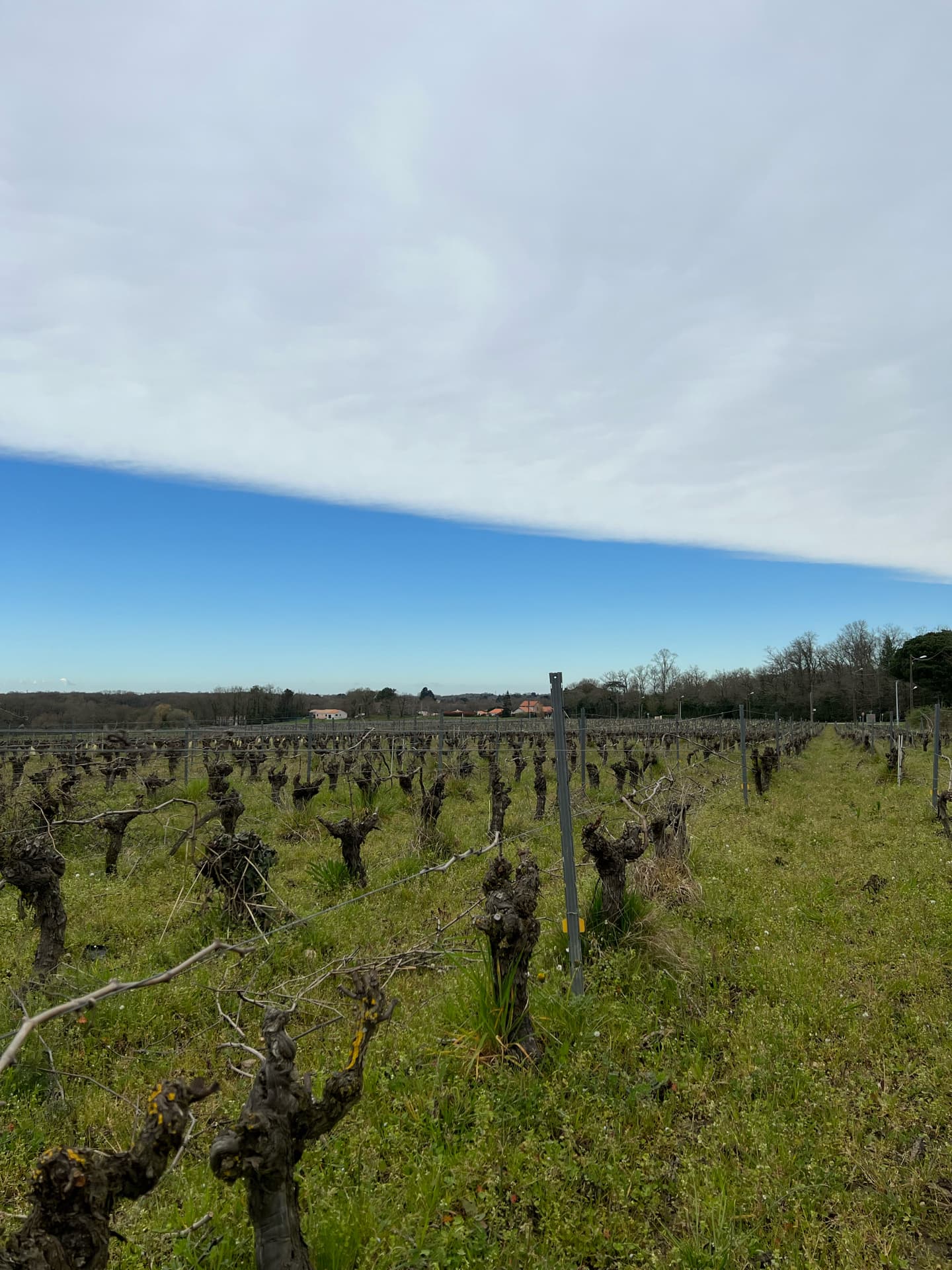 limite-nuage-sur-vertou