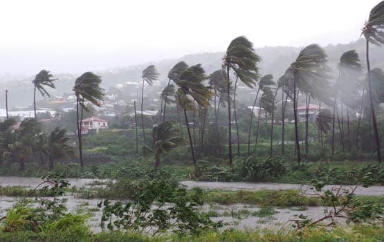 Image d'illustration pour Bilan du passage de Bejisa près de La Réunion