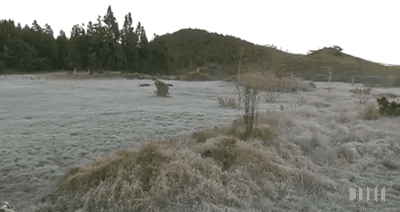 Image d'illustration pour La Réunion entre chaleur, sécheresse, pluie et givre