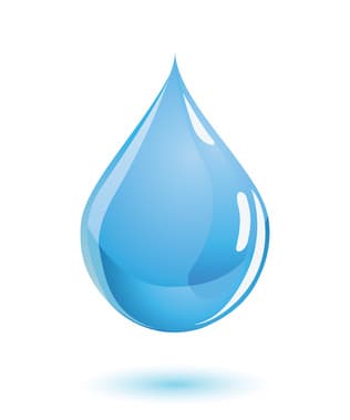 Image d'illustration pour Météoz et Nova : la météo expliquée aux enfants