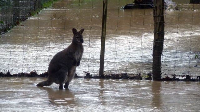 Image d'illustration pour Suivi des intempéries dans le Sud-Ouest et près des Pyrénées
