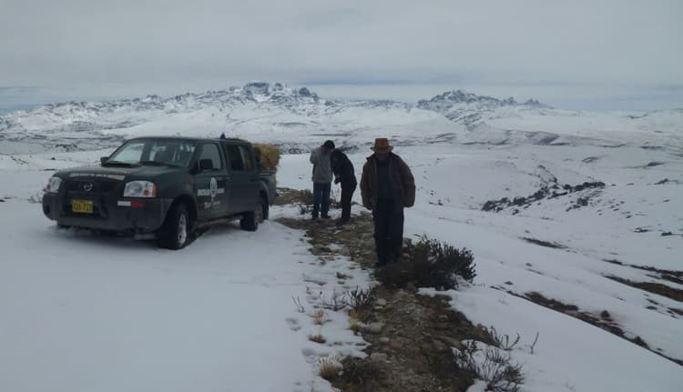 Image d'illustration pour Neige et froid sur les hauteurs du Pérou