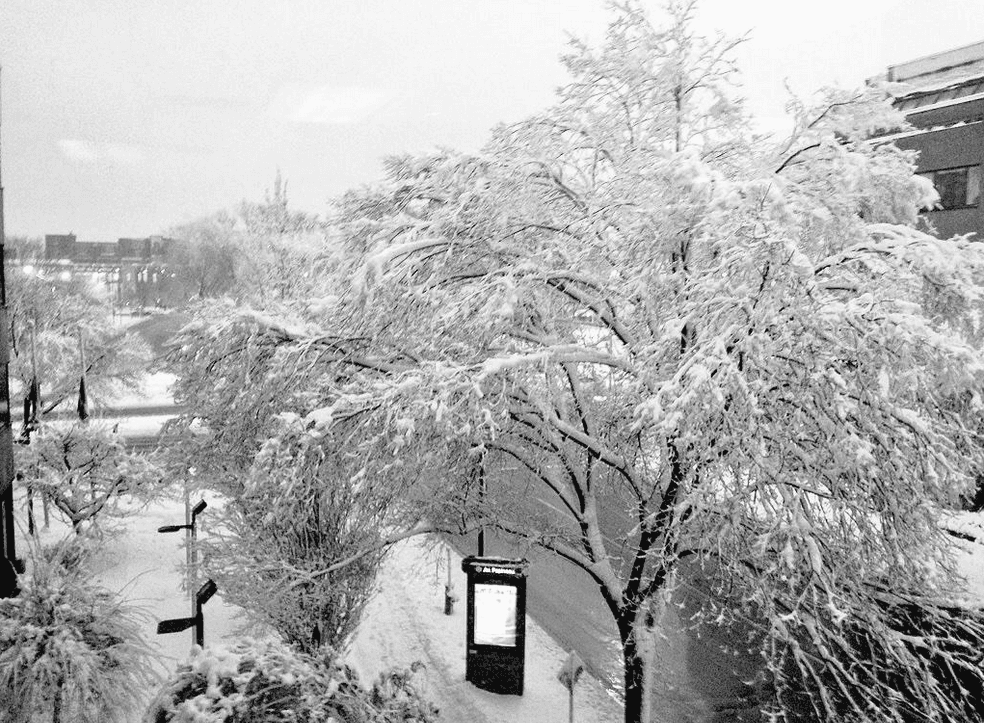 Image d'illustration pour Première tempête de neige de la saison au Québec