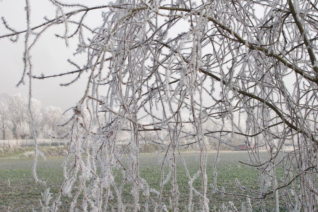 Image d'illustration pour Vos plus belles photos de givre