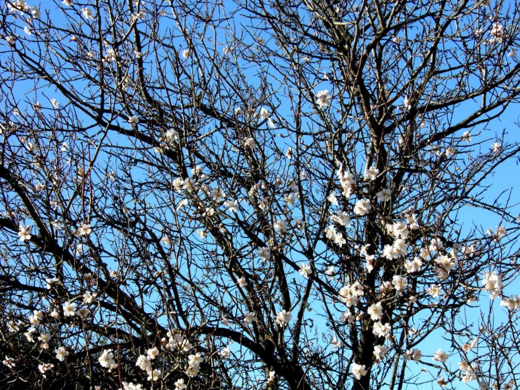 Image d'illustration pour Vos photos météo des 3 dernières semaines