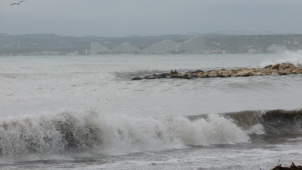 Image d'illustration pour BILAN JANVIER 2013 : pluies à l'ouest / froid et neige à l'Est