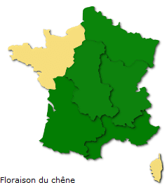 Image d'illustration pour Les pollens de graminées passent à l'offensive !