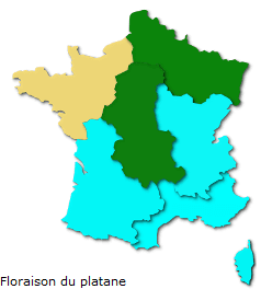 Image d'illustration pour Les pollens de graminées passent à l'offensive !