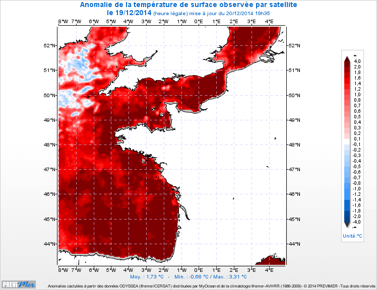 Image d'illustration pour Vacances de Noël à la mer : douceur sur la plage et dans l'eau