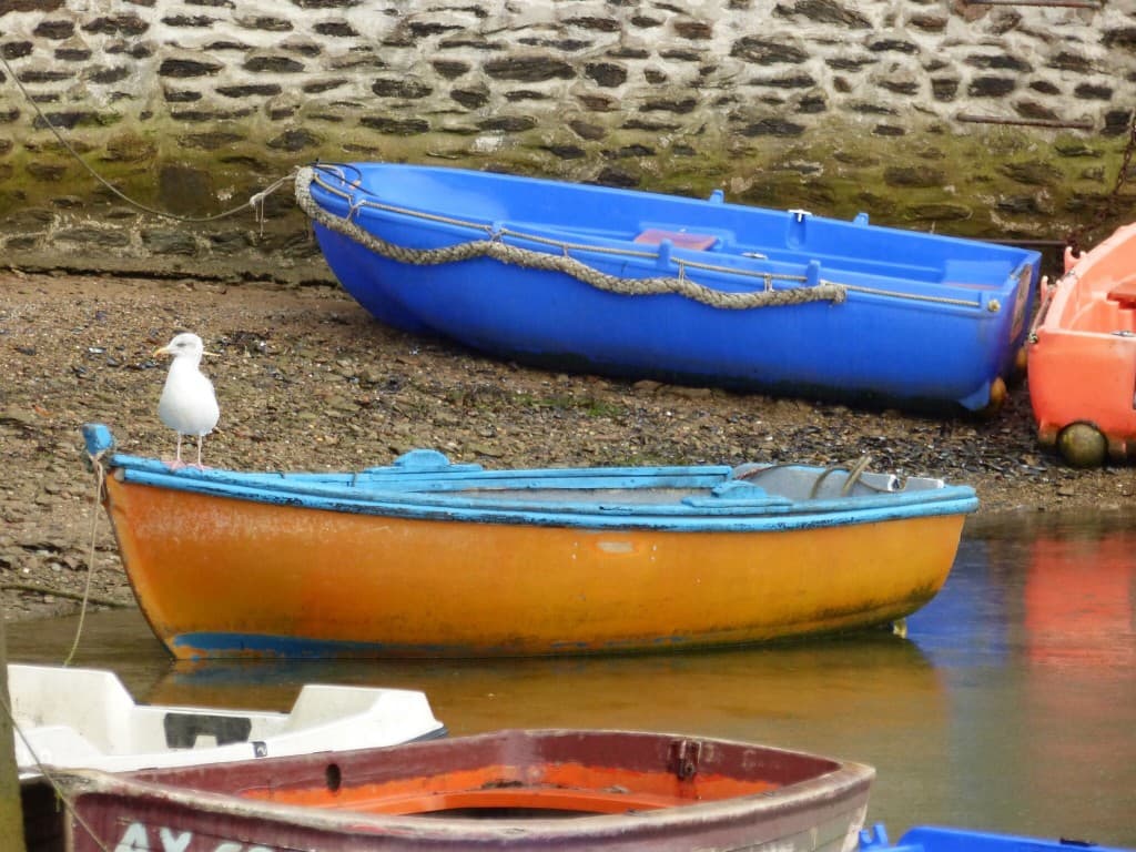 Barques de couleur 