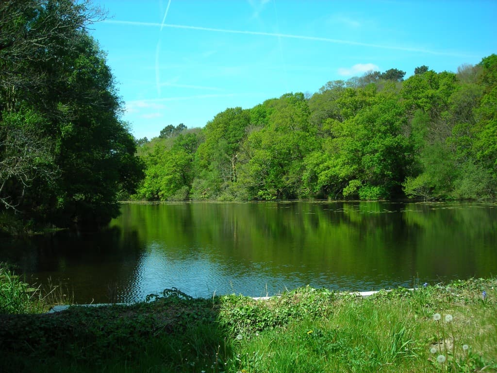 Etang du Verger