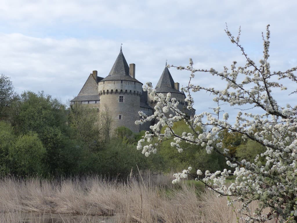 Le château 
