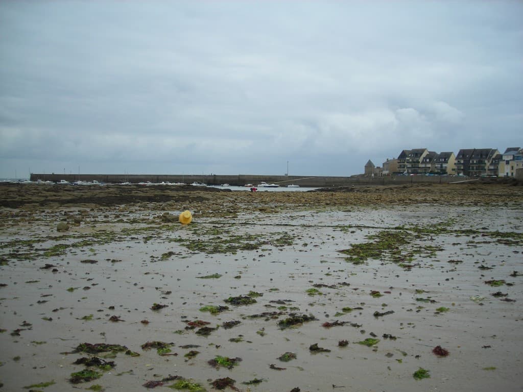 Le port de Lomener à marée basse